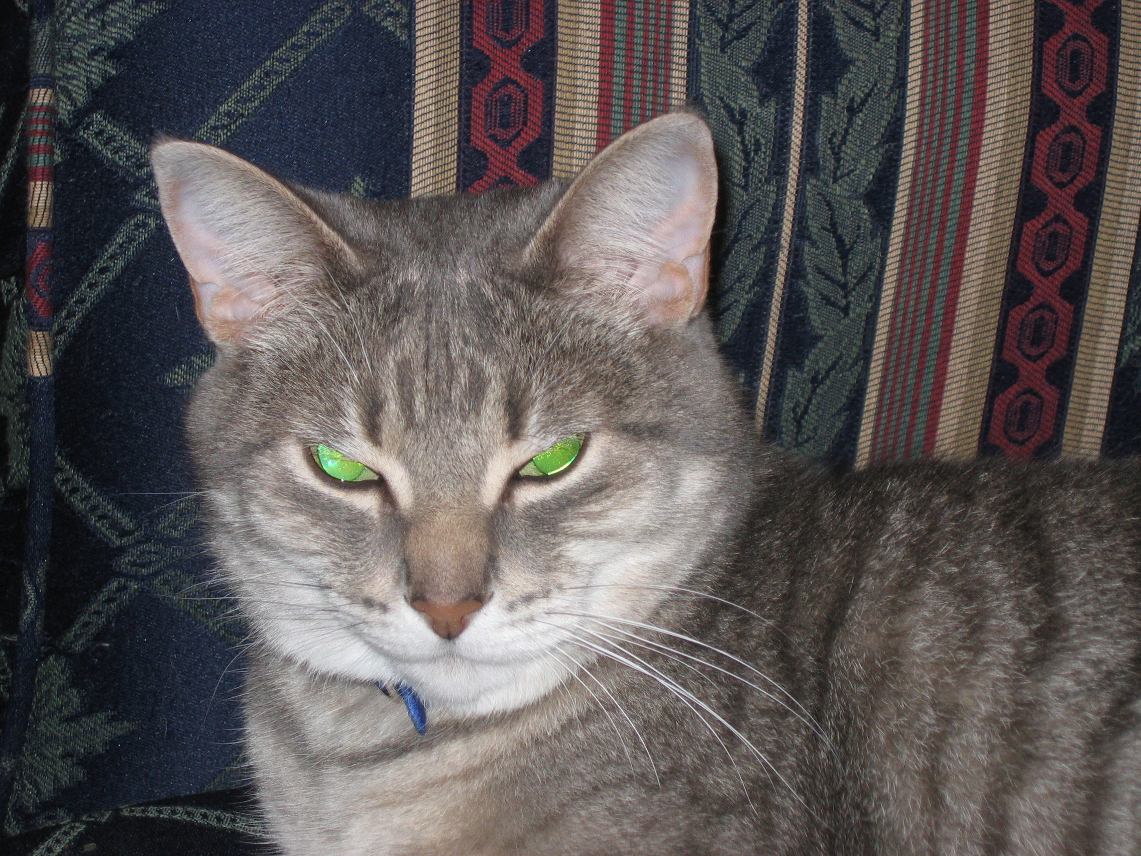 JSA-2006 198.jpg