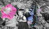 Photo Edit and Effect - Wing, Background, Flower, B&W