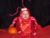 lobster4.jpg